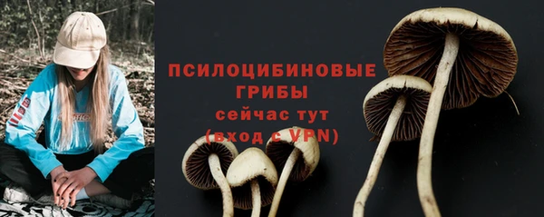 трава Баксан